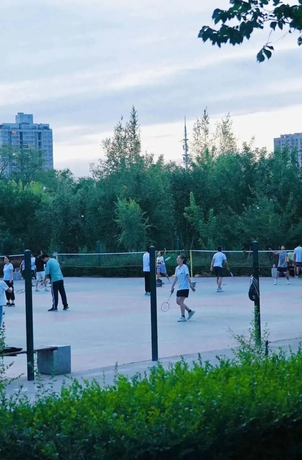 使用专业设备提升篮球训练效果的方法_2